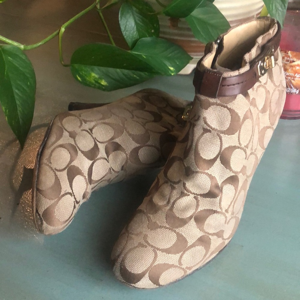 Coach Bennett Khaki 8.5